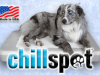 Chillspot Dog Cooling Station $199.00