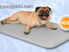 Cool Bed III™ Dog Cooling Bed